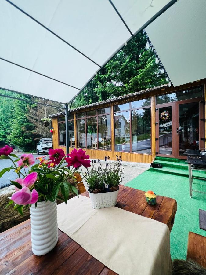 Cabana Din Poienita Poiana Braşov Exterior foto