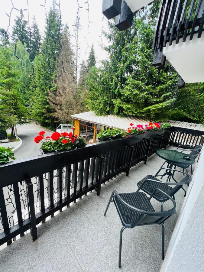 Cabana Din Poienita Poiana Braşov Exterior foto