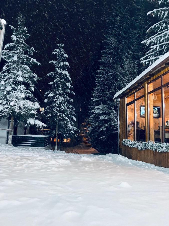Cabana Din Poienita Poiana Braşov Exterior foto