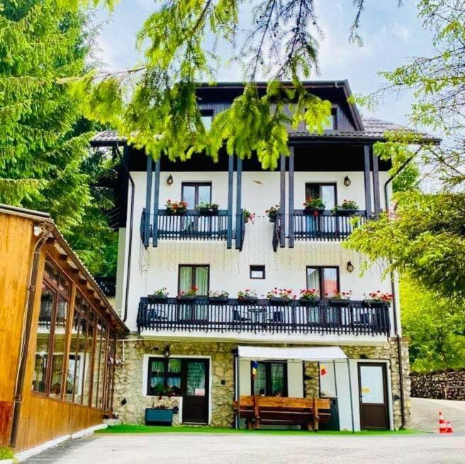 Cabana Din Poienita Poiana Braşov Exterior foto